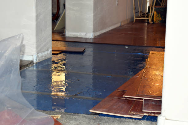 Professional Water Damage Restoration technician working in Litchfield, IL